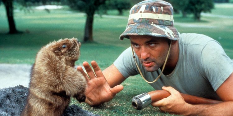 The Funniest Raunchy Sports Comedies