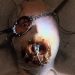 Best Alien Abduction Films