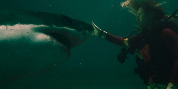 Into the Deep