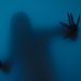 Tales from Black Manor
