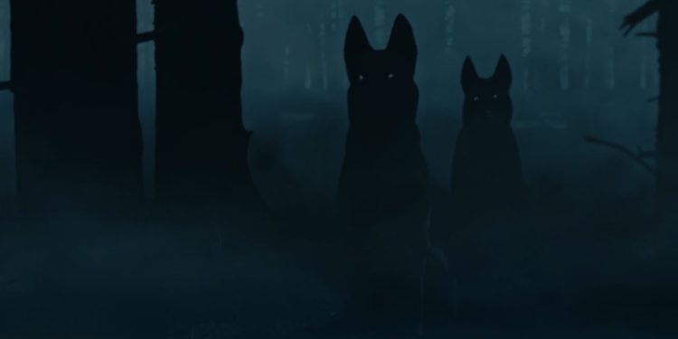 The Dogs
