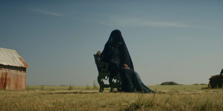 The Woman in the Yard